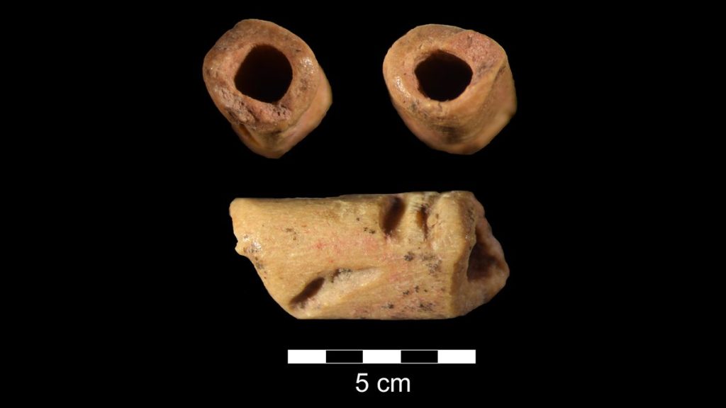 13,000-year-old bone bead is the oldest of its kind in