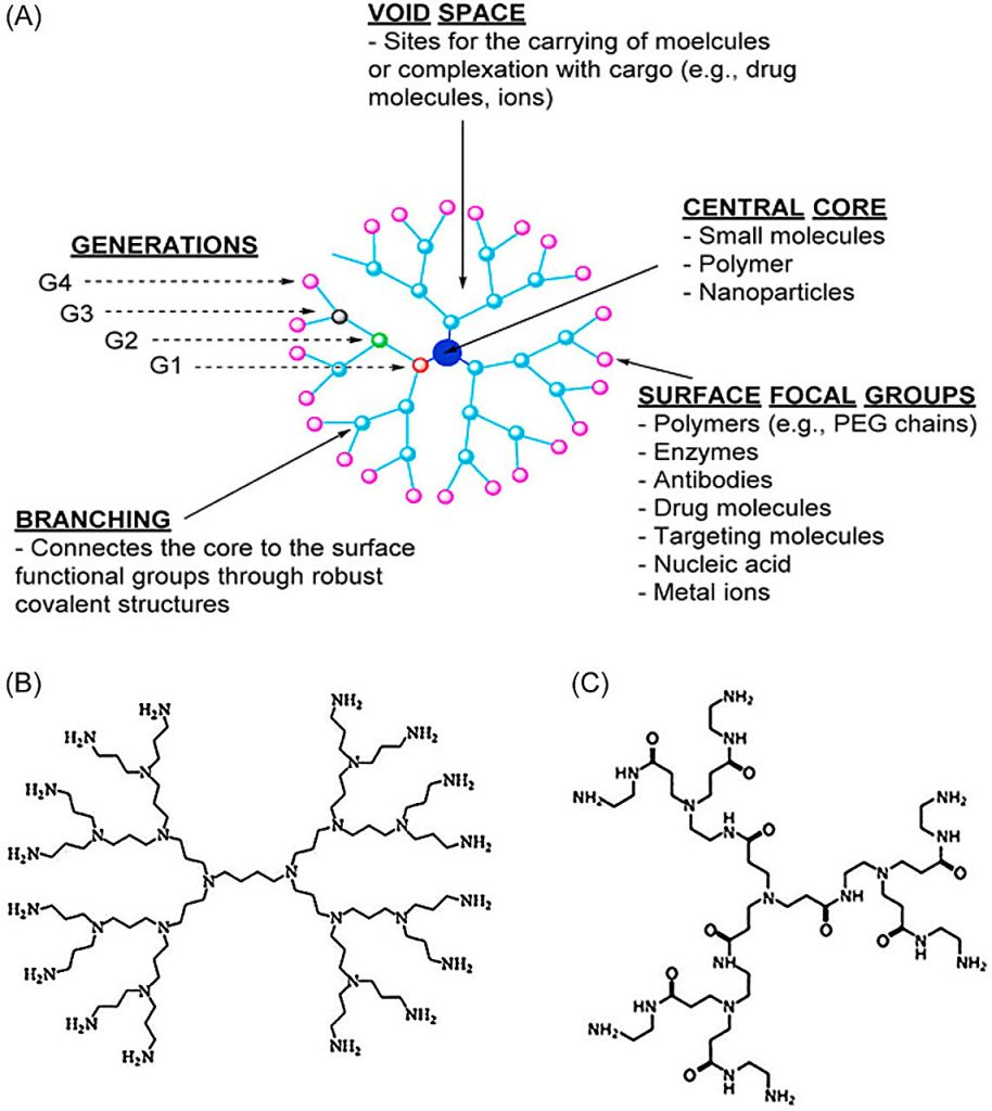 Advances and applications of nanoparticles in cancer therapy