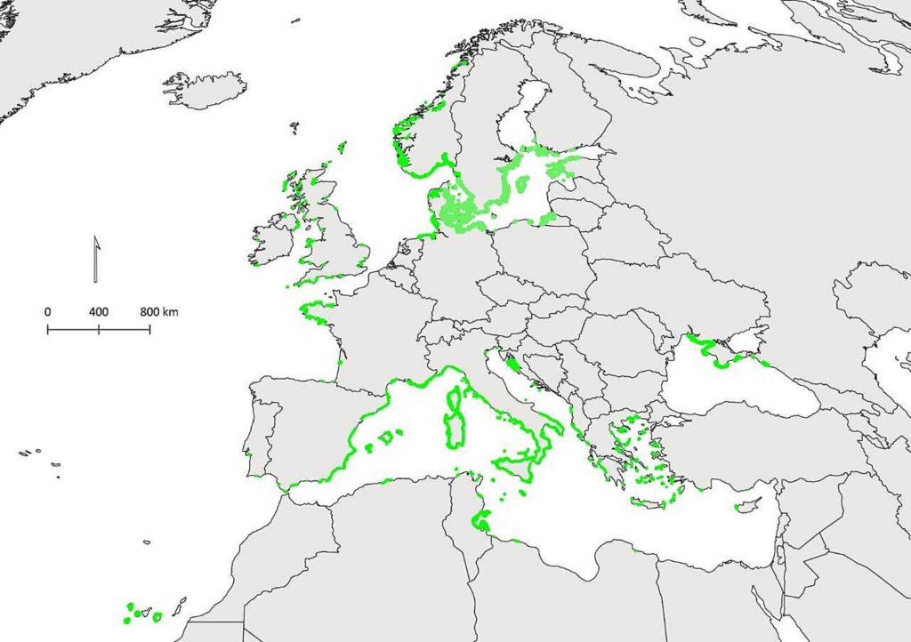 Scientists point the way to advance conservation and restoration of