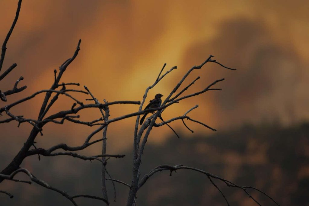 The world just experienced the hottest February on record