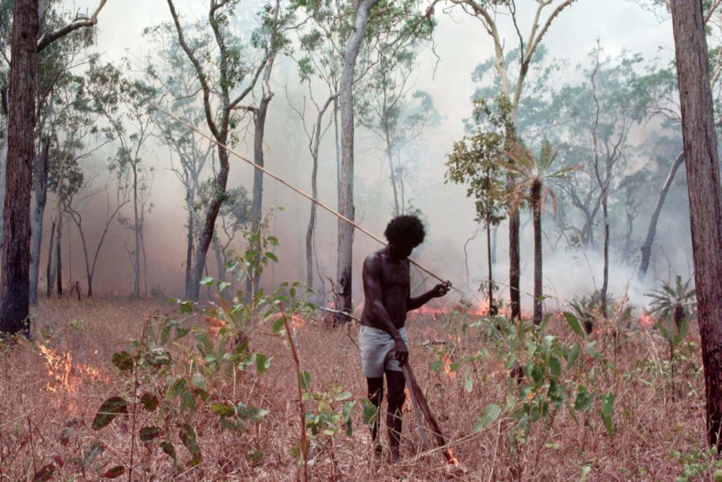 Indigenous Australians have managed land with fire for 11,000 years