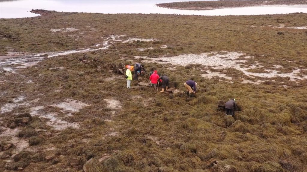 Low tides reveal Bronze Age fortress that likely defended against