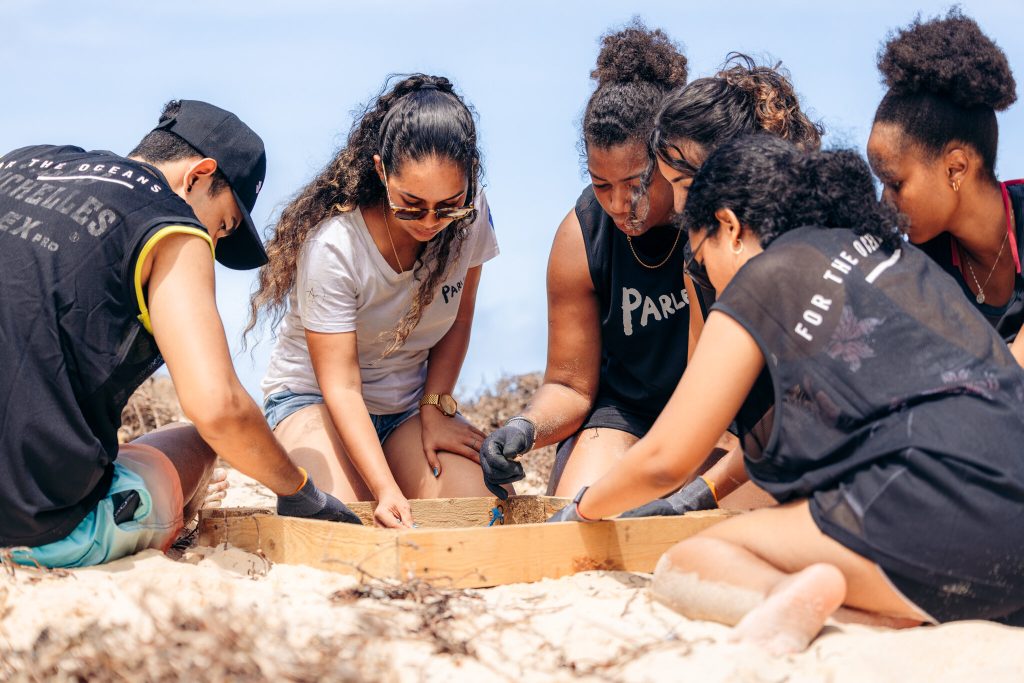 Seychelles beach cleans demonstrate potential for citizen science to tackle