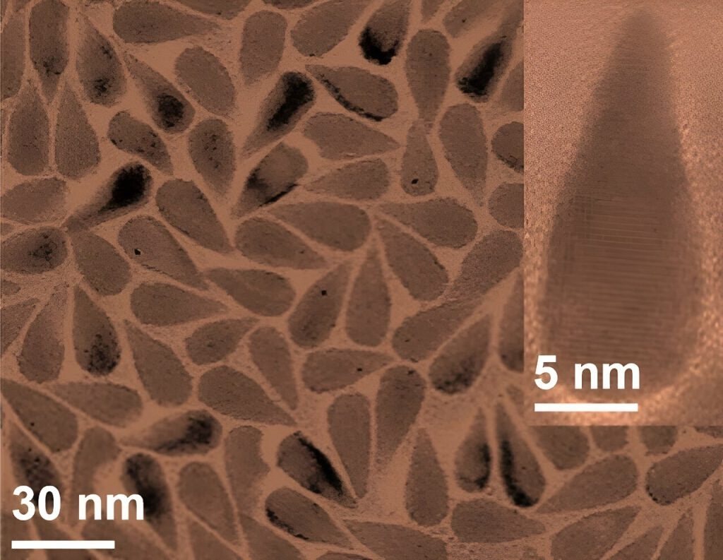 Nanoparticles target multiple COVID variants through the twist in the