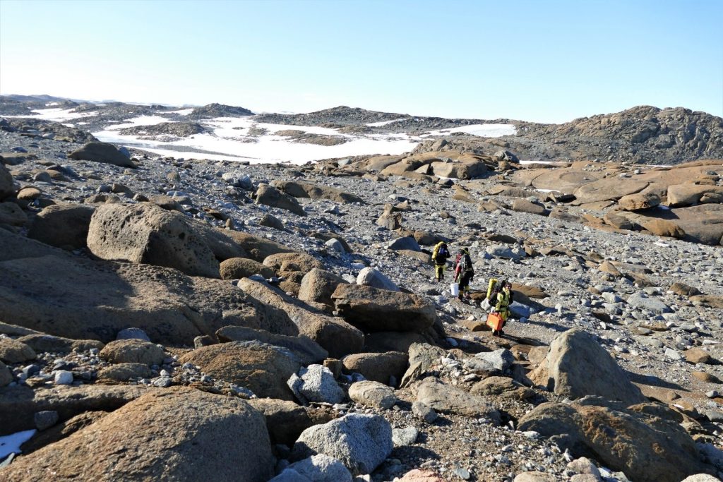 Climate change is wiping out rare bacteria in a ‘greening’