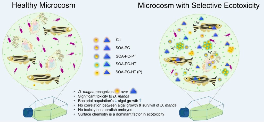 Research explores ways to mitigate the environmental toxicity of ubiquitous